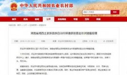 今日农村爆料新闻,揭秘今日农村爆料热点事件